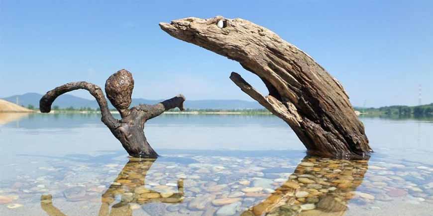 Denizleri Aşıp Gelen Sanat: Driftwood